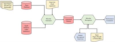 Integration of text mining and biological network analysis: Identification of essential genes in sulfate-reducing bacteria